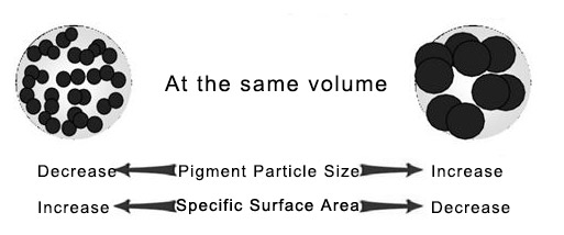 Relationships between particle size and specific surface area in pigments